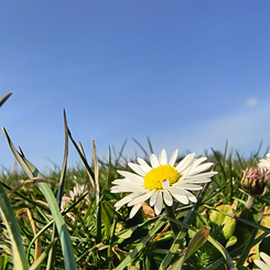 spring-sign on a motorbike tour