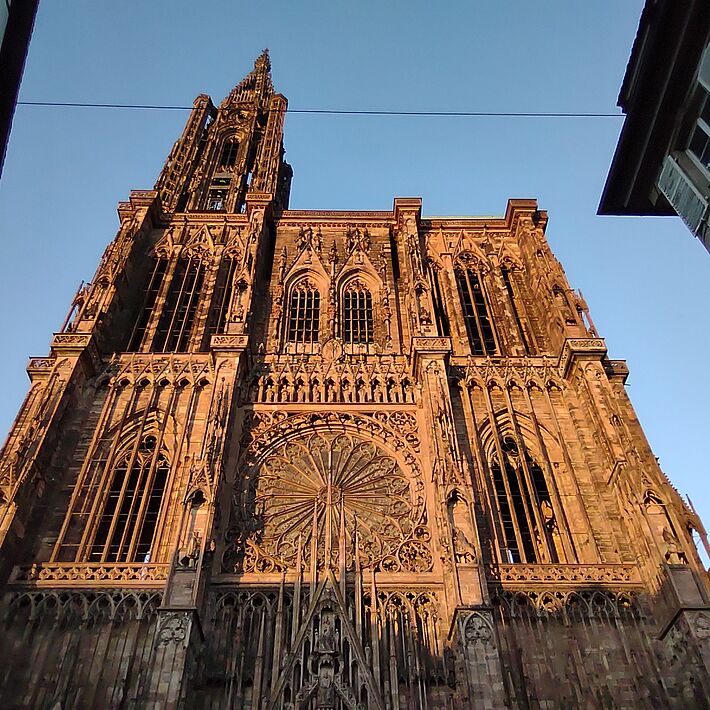 Cathédrale Notre Dame de Strasbourg