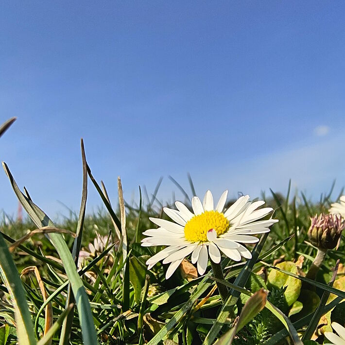 spring-sign on a motorbike tour